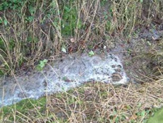 Sewage fungus in a ditch course